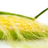 Corn Silk (Zea mays)
